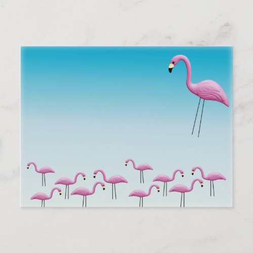 Flamingo Flocking Postcard