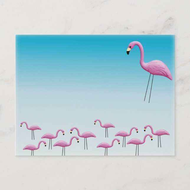 Flamingo Flocking Postcard (Front)