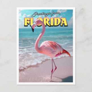 Flamingo Florida Postcard