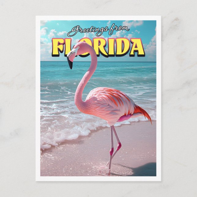 Flamingo Florida Postcard (Front)