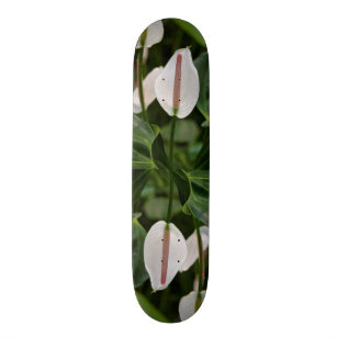albert flamingo skateboard albert flamingo skateboard