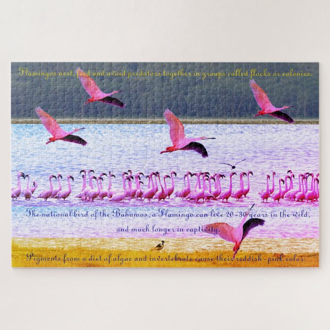 Flamingo Fun  20"x30" -  1,014 Piece Jigsaw Puzzle (Horizontal)