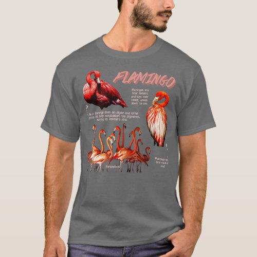 Flamingo Fun Facts T_Shirt