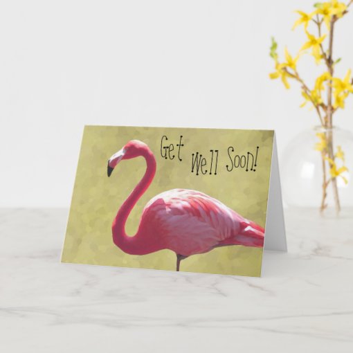 Flamingo Get Well Soon Card 