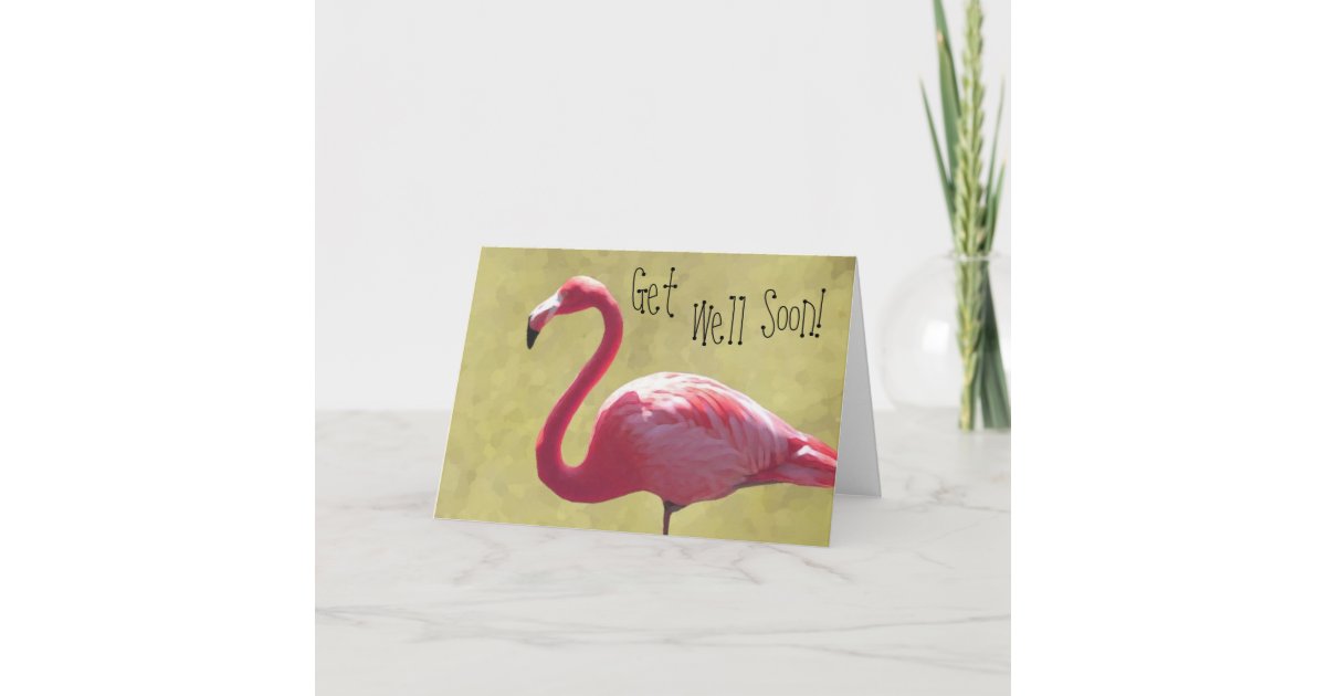 Flamingo Get Well Soon Card | Zazzle.com