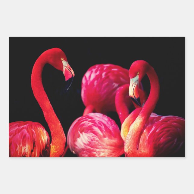 Flamingo Gift Wrap Sheets (Front)