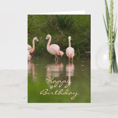 Flamingo Happy Birthday Card