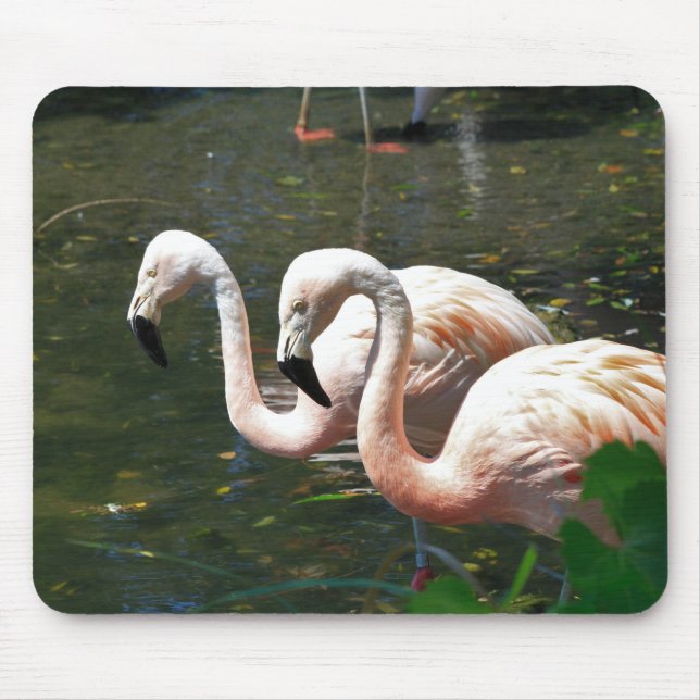 Flamingo in a pond with green tree's mouse pad (Front)