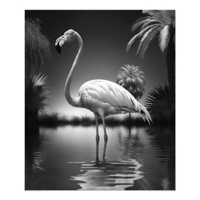 Flamingo in a Pool Photo Print (Front)