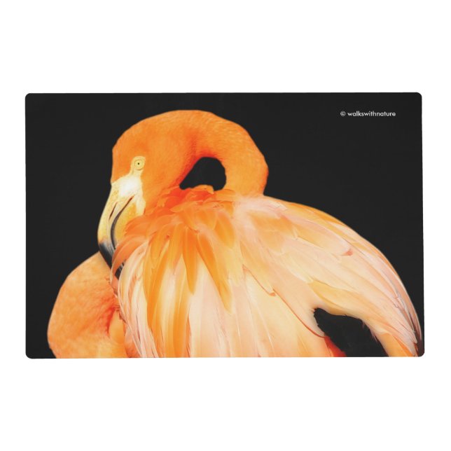 Flamingo in the Summer Sun Placemat (Front)
