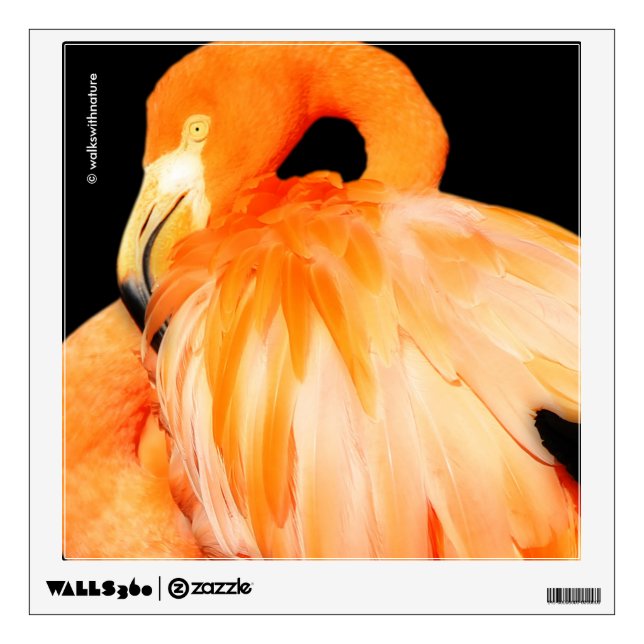 Flamingo in the Summer Sun Wall Decal (Front)