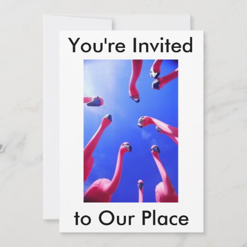Flamingo Invitation
