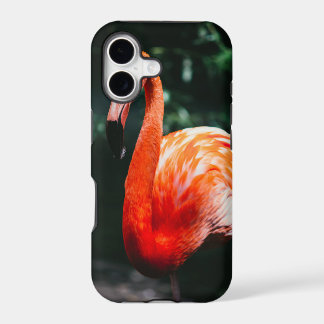 Flamingo iPhone 17 Case
