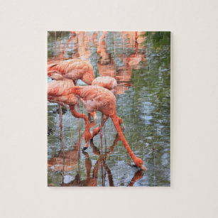 Flamingo Jigsaw Puzzles | Photo Puzzles | Zazzle