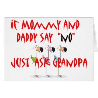 flamingo-kid cards
