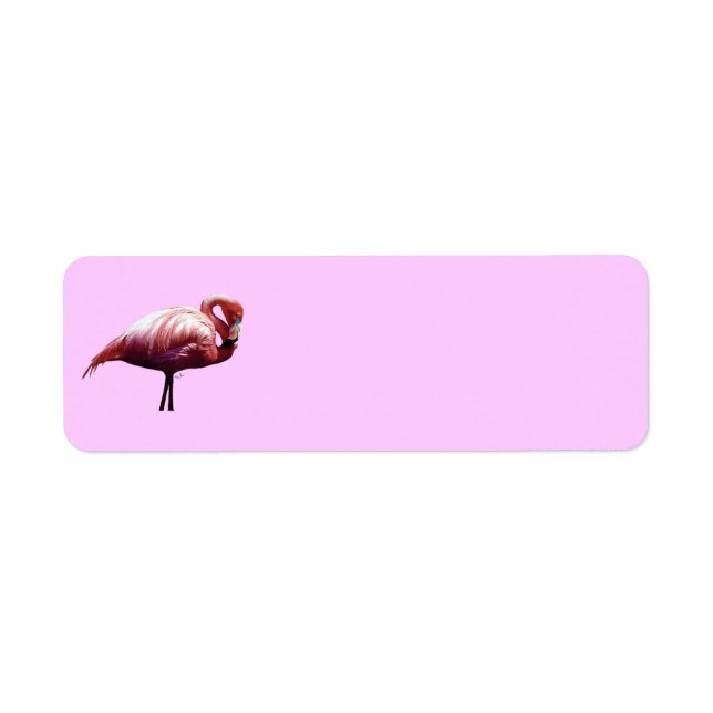 Flamingo Label (Front)