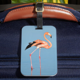 Flamingo Lake Walk Birds Luggage Tag