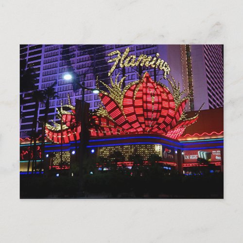 Flamingo Las Vegas Hotel 1 Postcard