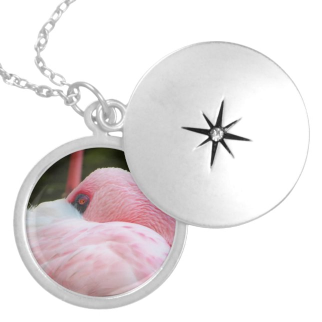 Flamingo  locket necklace (Front)