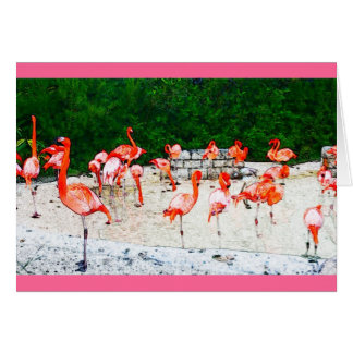 Flamingo love cards