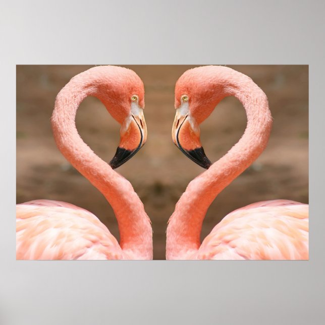 Flamingo Love Poster (Front)