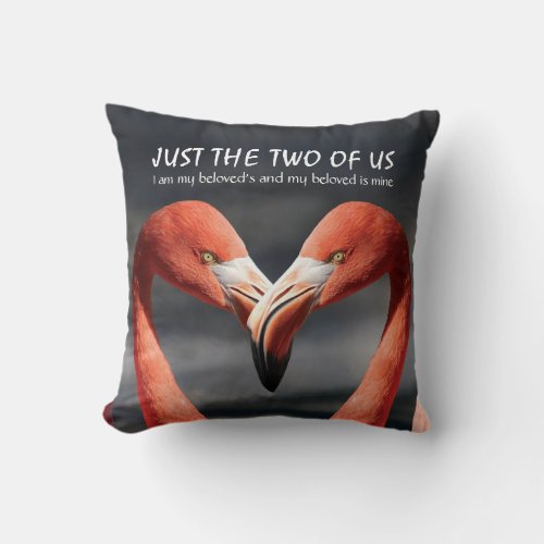 FLAMINGO Love Valentine Couple JUST THE TWO OF US Throw Pillow