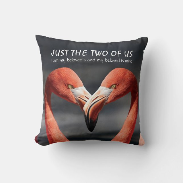 FLAMINGO Love Valentine Couple JUST THE TWO OF US Throw Pillow (Front)