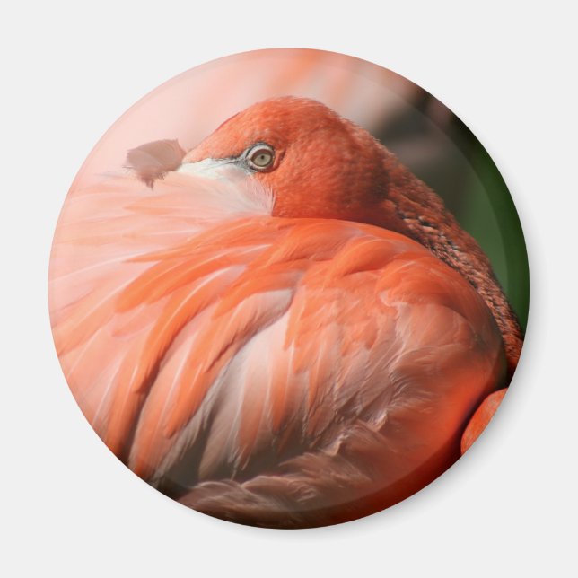 Flamingo Magnet (Front)