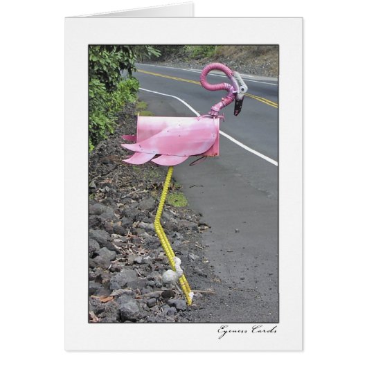 Flamingo Mailbox Cards (Front)
