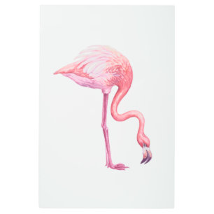 Flamingo Metal Print