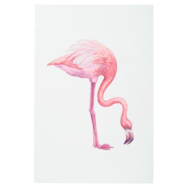 Flamingo Metal Print (Front)