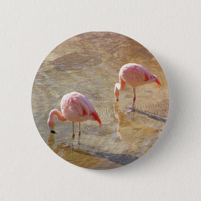 Flamingo Morning Button (Front)