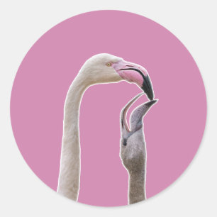 Flamingo Mother And Baby Classic Round Sticker