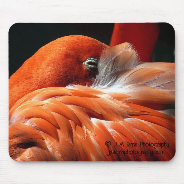 Flamingo Mouse Pad (Front)