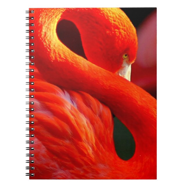 Flamingo Notebook (Front)