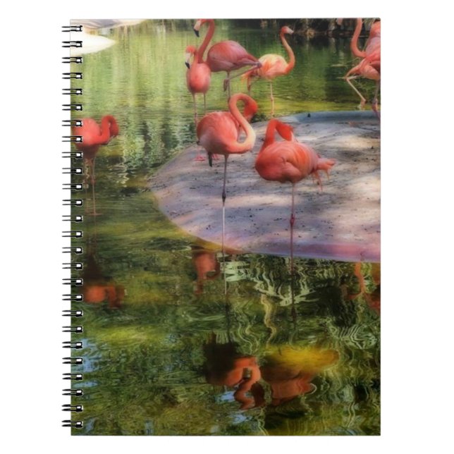 Flamingo Notebook (Front)
