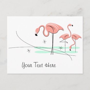 Flamingo Ocean Trio 3 Text Postcard by QuirkyChic at Zazzle