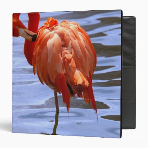 Flamingo on one leg in water binder