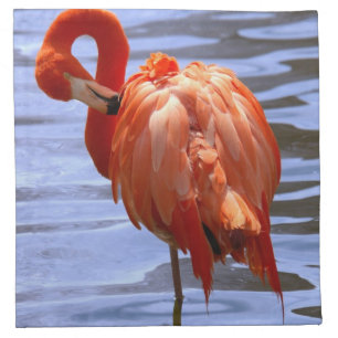 Flamingo on one leg in water napkin