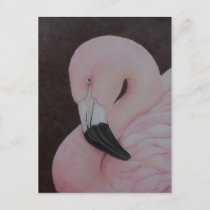 Flamingo Original Bird Art Postcard