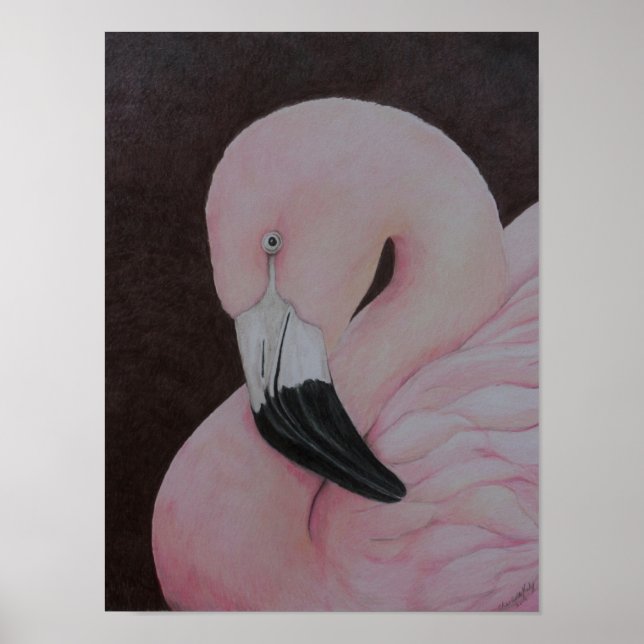 Flamingo Original Bird Art Print (Front)