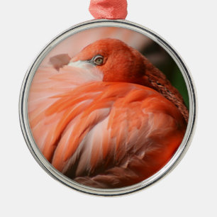 Flamingo Ornament