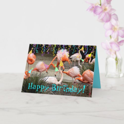 Flamingo Party Birds Happy Birthday Card