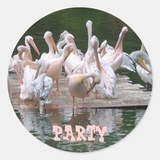 Flamingo Party Classic Round Sticker (Front)