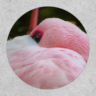 Flamingo patch