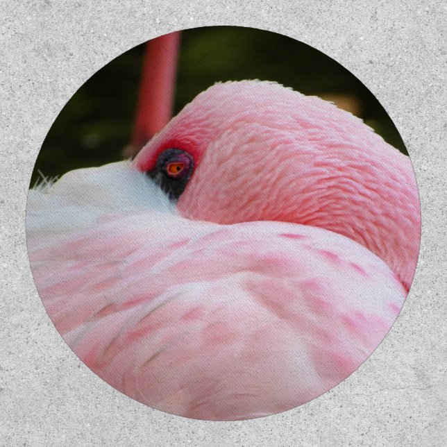 Flamingo  patch (Front)