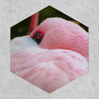 Flamingo  patch