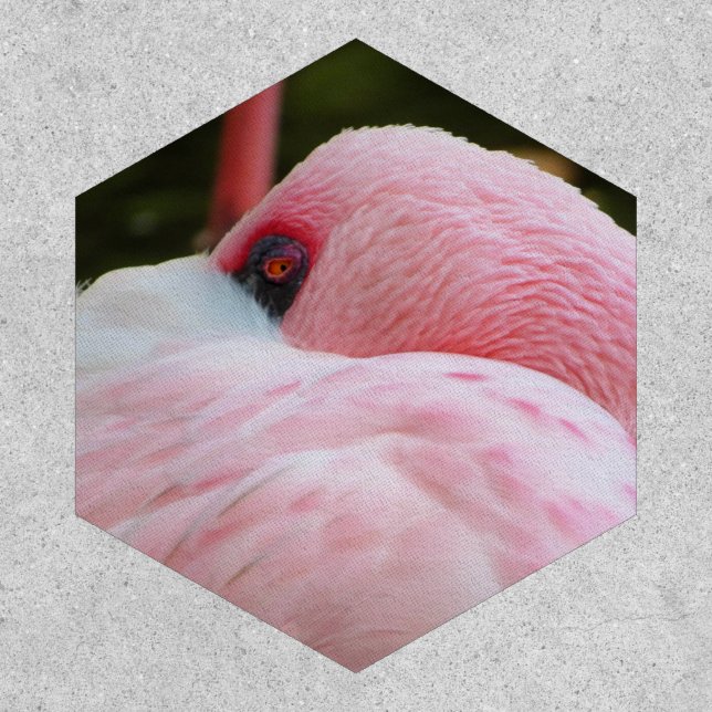 Flamingo  patch (Front)