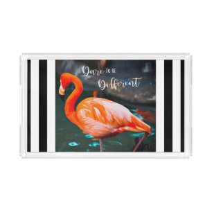 Flamingo Photo Black White Stripes Dare Quote Acrylic Tray