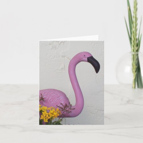Flamingo Photo Folded Note Card